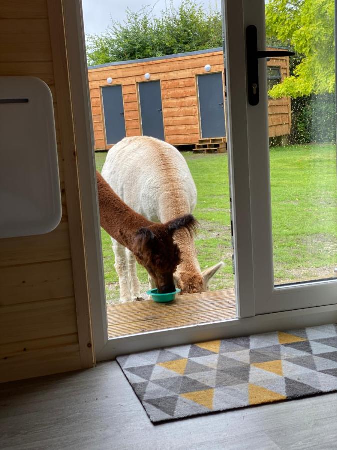 The Piggery Pod Hotel Sittingbourne Exterior foto
